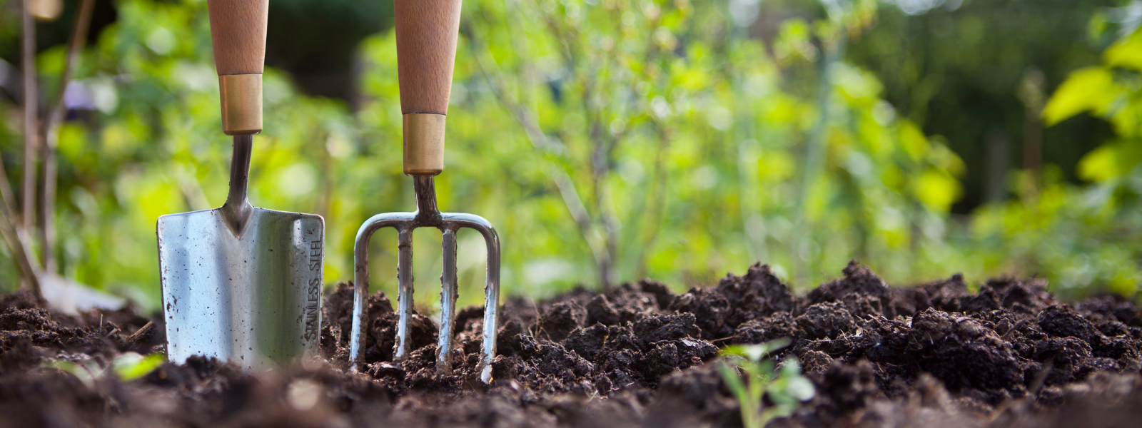 Die 10 besten Tipps zur nachhaltigen Gartenpflege