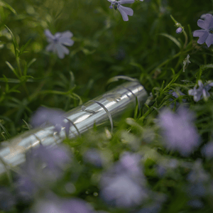 pandoo Reisegewürz Set Reise- und Camping Gewürz-Set