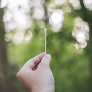 pandoo Wattestäbchen Plastikfreie Wattestäbchen aus Bambus und Bio-Baumwolle