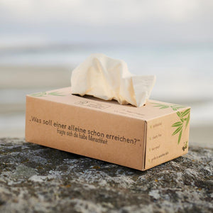 pandoo Hygienepapier Bambus Taschentücher 3-lagig | 100% Bambus | Plastikfreie Verpackung