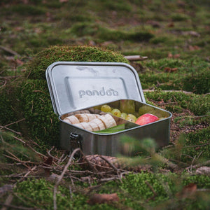 pandoo Lunchbox Lunchbox aus Edelstahl | 800ml  oder 1200ml