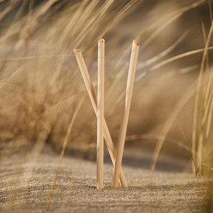 pandoo Strohhalm Plastikfreie Einweg-Strohhalme aus Pflanzenfasern