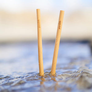 pandoo Strohhalm Plastikfreie Strohhalme aus Bambus - 100% Naturprodukt | Normale- und Cocktail-Größe