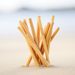pandoo Strohhalm Plastikfreie Strohhalme aus Bambus - 100% Naturprodukt | Normale- und Cocktail-Größe