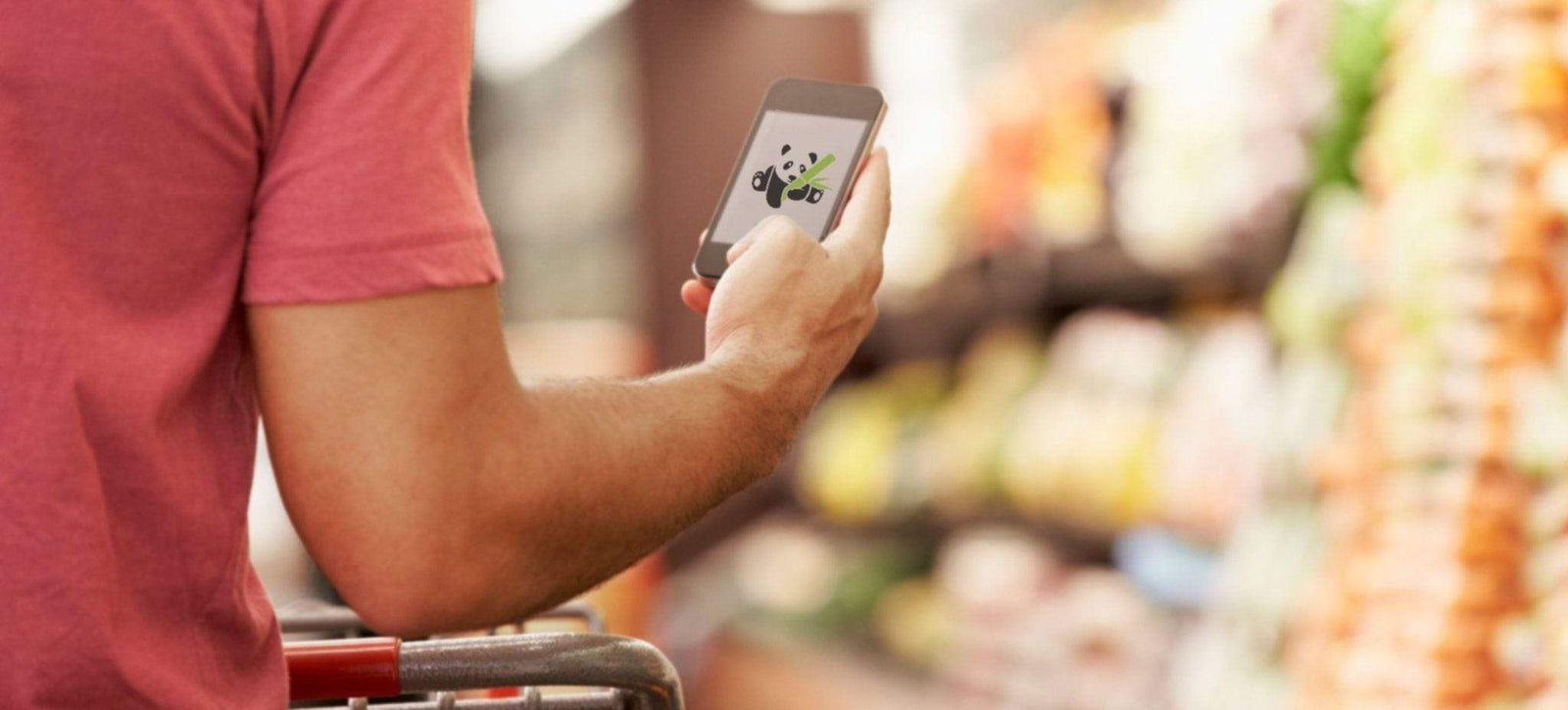 5 Apps für einen nachhaltigeren Alltag