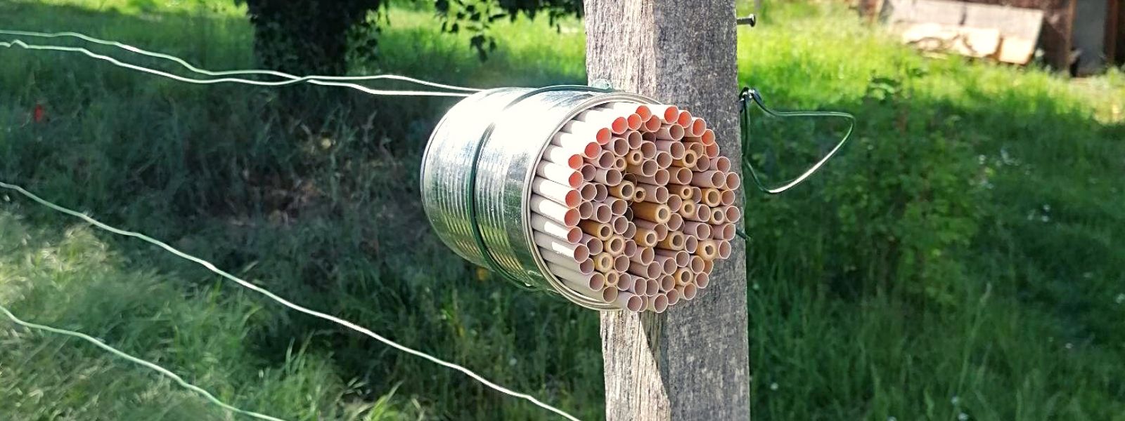 Bienenhotel: Eine Nisthilfe für Wildbienen