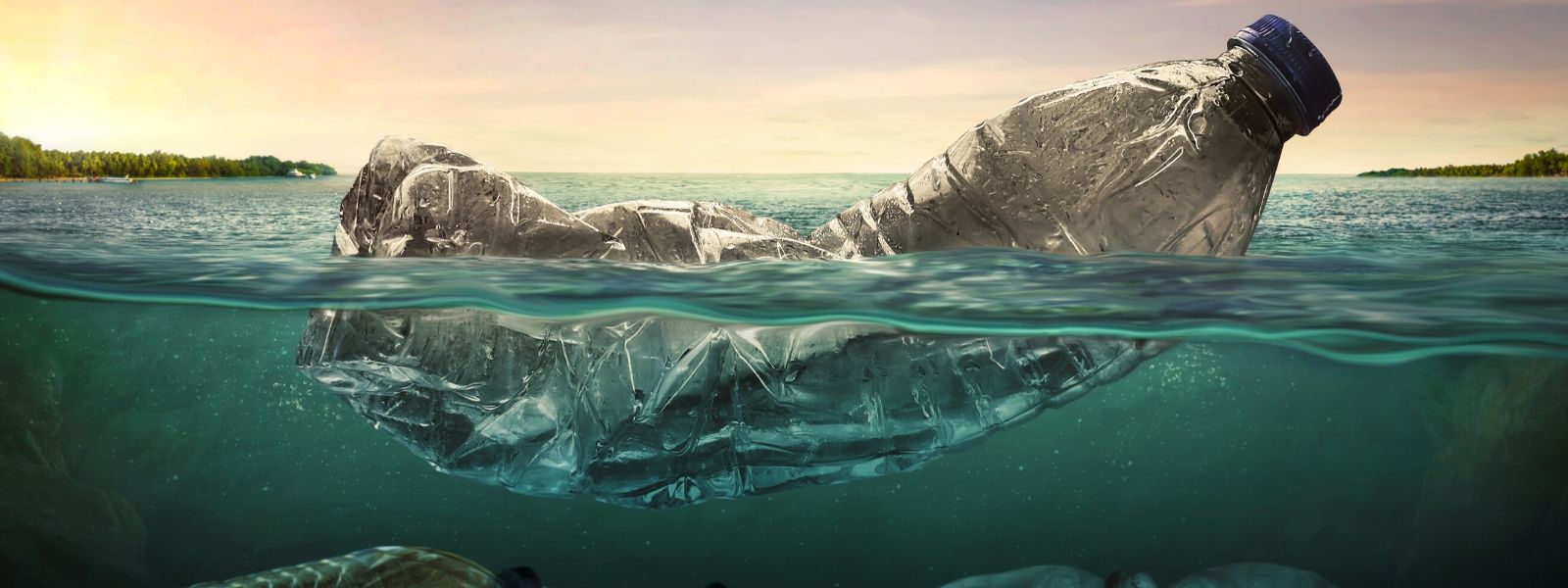 Wie wiederverwendbare Wasserflaschen dein Plastik-Problem lösen