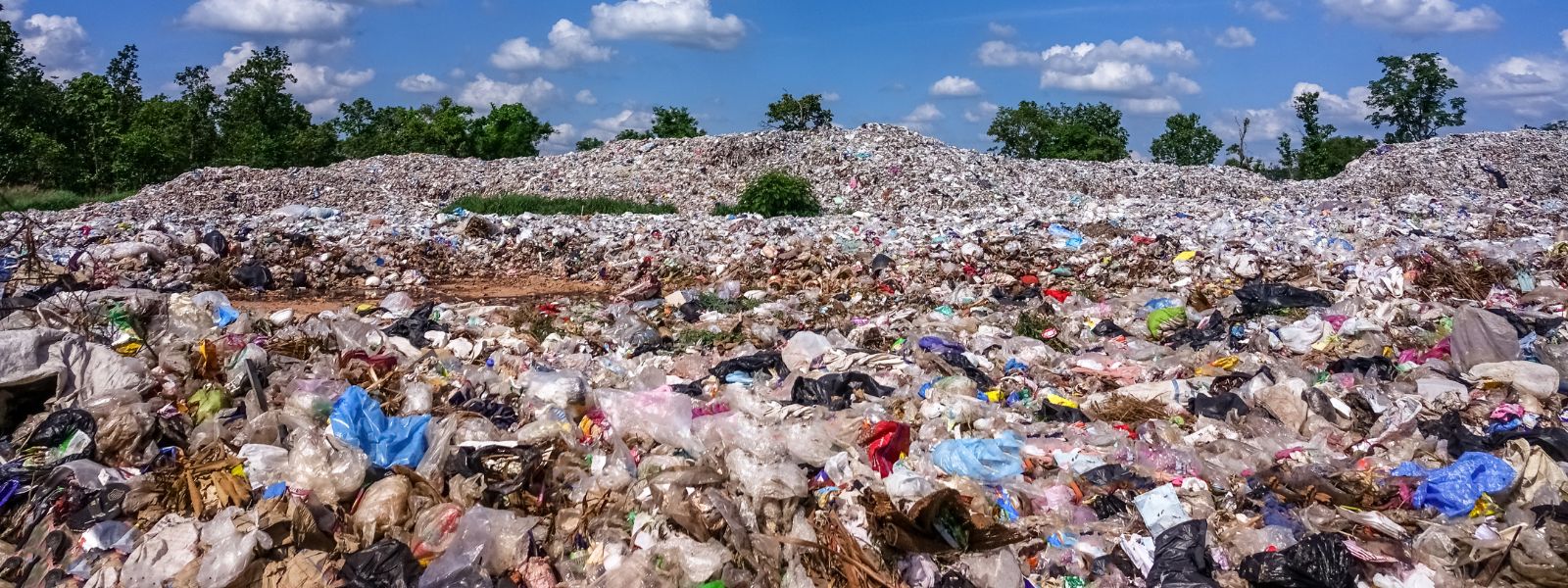Die Auswirkungen von Müll auf die Umwelt: Warum es wichtig ist, Müll zu vermeiden