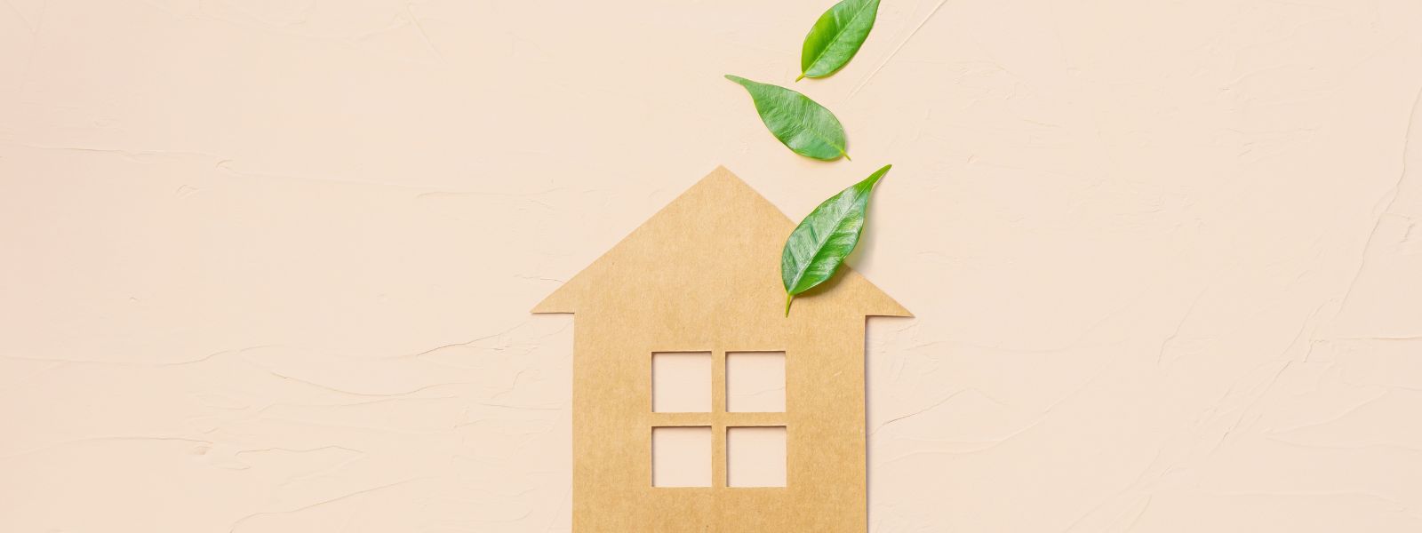 Eco-Friendly Living: Tipps für ein umweltbewussteres Leben im eigenen Zuhause