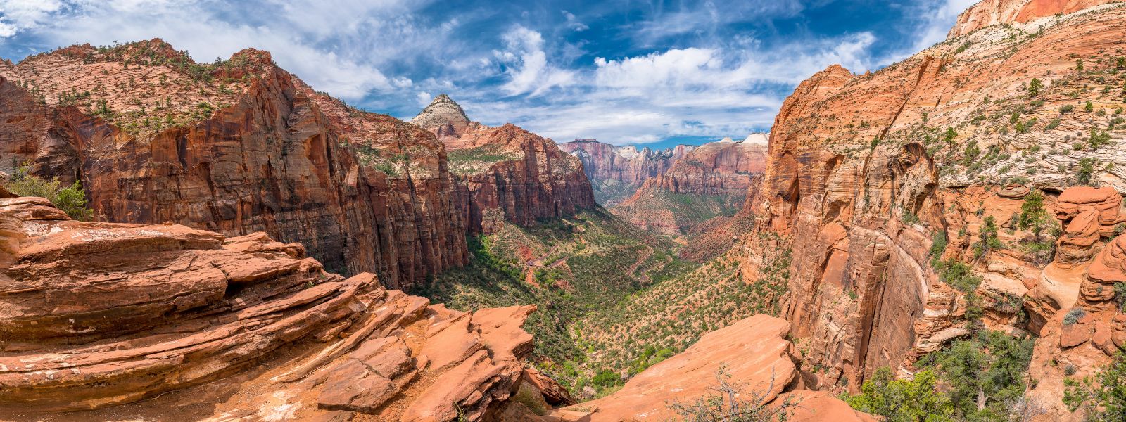 Die Rolle von Schutzgebieten und Nationalparks bei der Erhaltung der Biodiversität