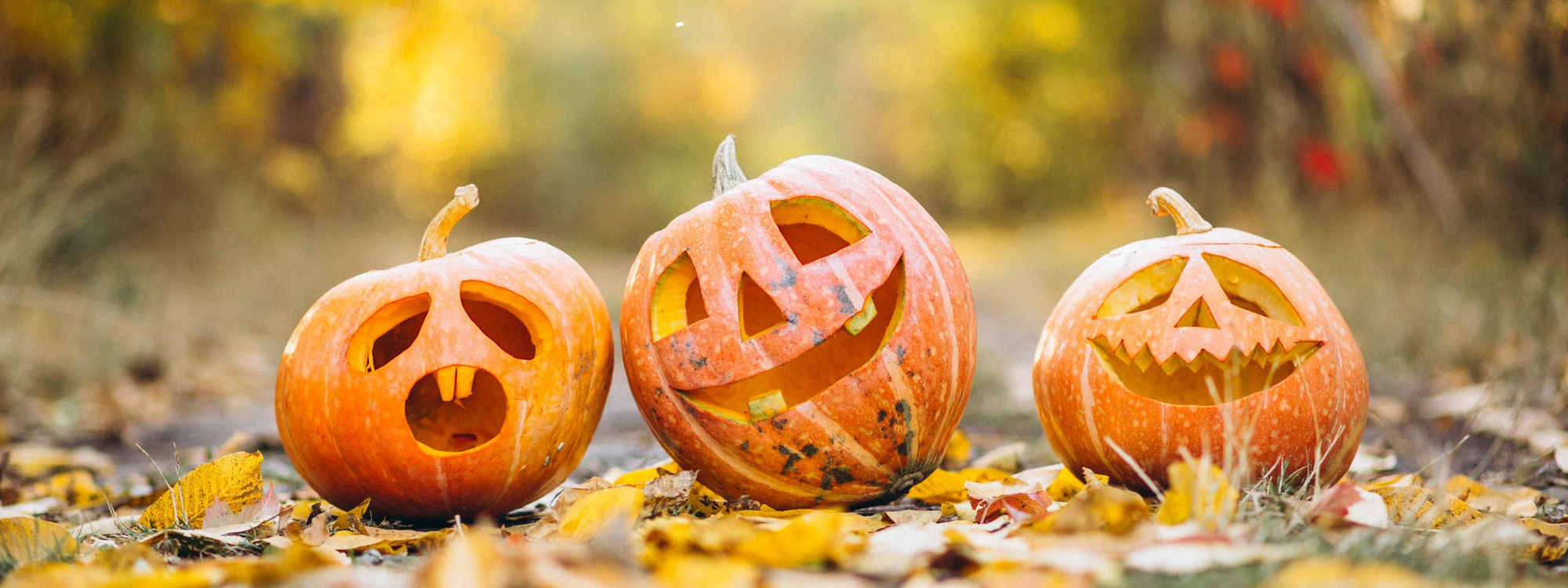 Nachhaltiges Halloween: Gruseln ohne Plastikmüll