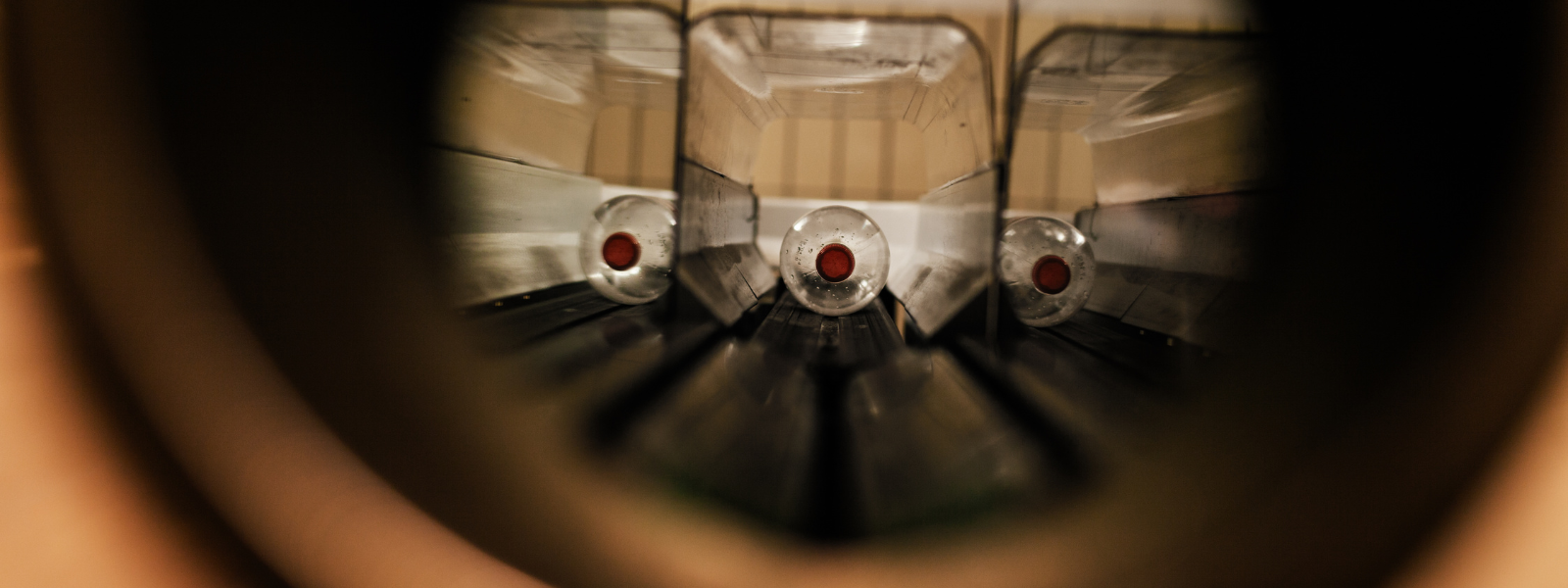 Pfand auf Milchgetränke: Verständnis der neuen Gesetze und Vorteile für Verbraucher