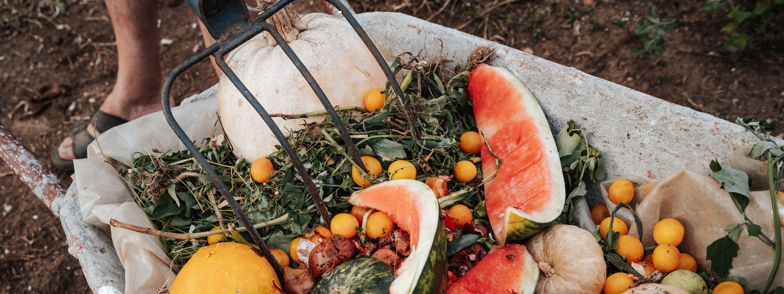 Zero Waste in der Küche: Lebensmittelverschwendung vermeiden