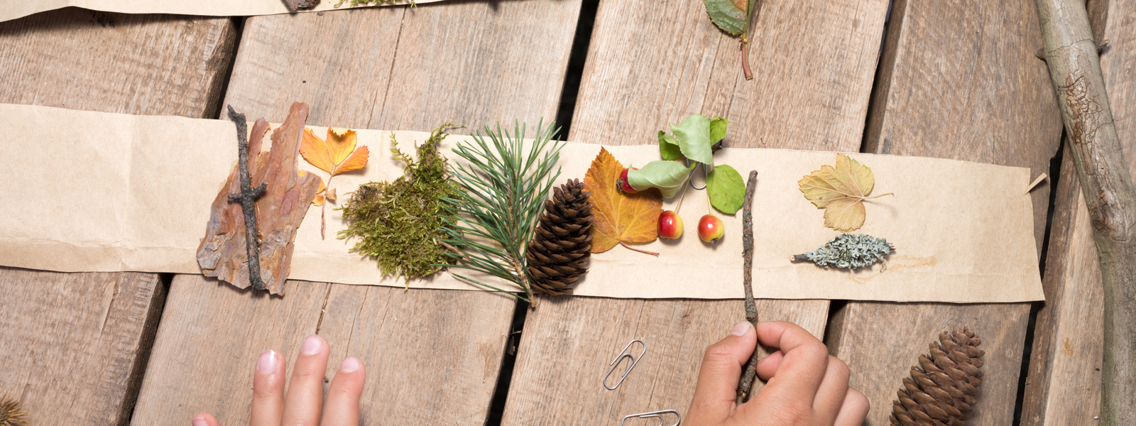 Herbstliche DIY-Projekte mit Bambus und Naturmaterialien