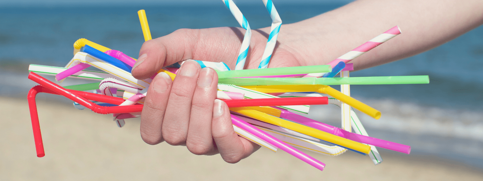 Essenziell oder Umweltsünde - Die Debatte um den Plastikstrohhalm