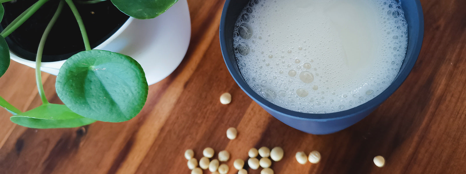 Reis, Hafer und Soja - Pflanzenmilch selbst gemacht!