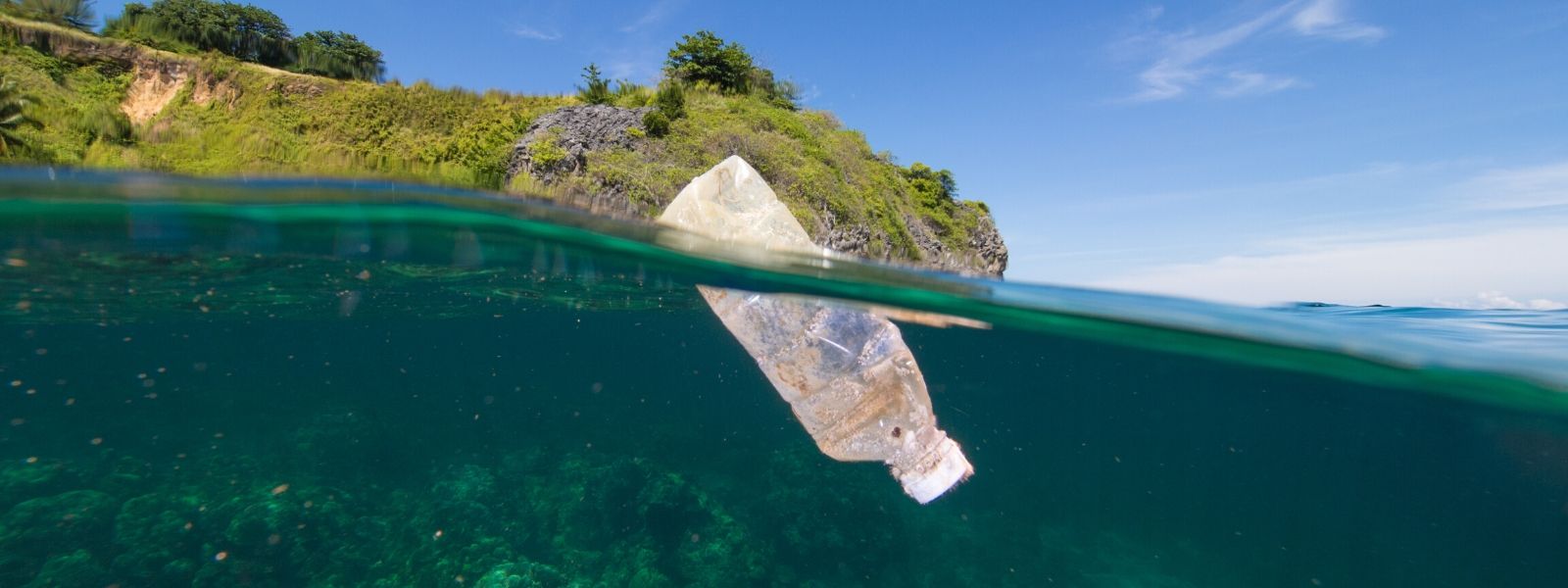 Der Weg der Plastikflasche