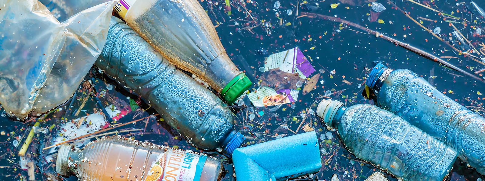 Warum ist Plastik ein Problem?