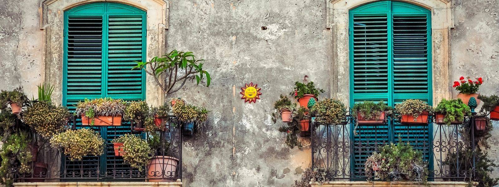 Gemüsegarten auf dem Balkon für Anfänger