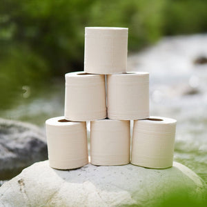 pandoo Hygienepapier Bambus Toilettenpapier 3-lagig | 100% Bambus | Plastikfreie Verpackung (Aktuell nur im ABO)
