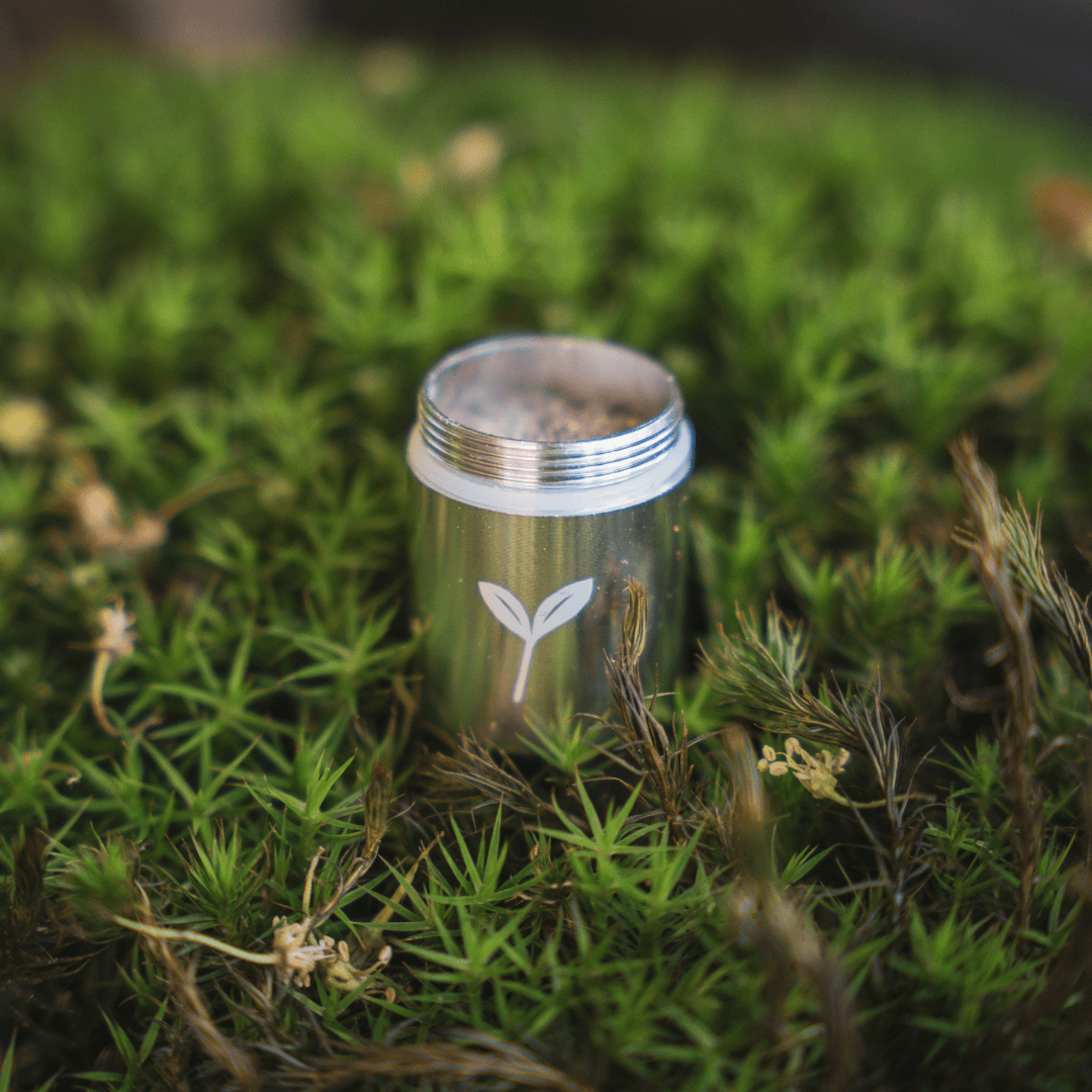 pandoo Reisegewürz Set Reise- und Camping Gewürz-Set