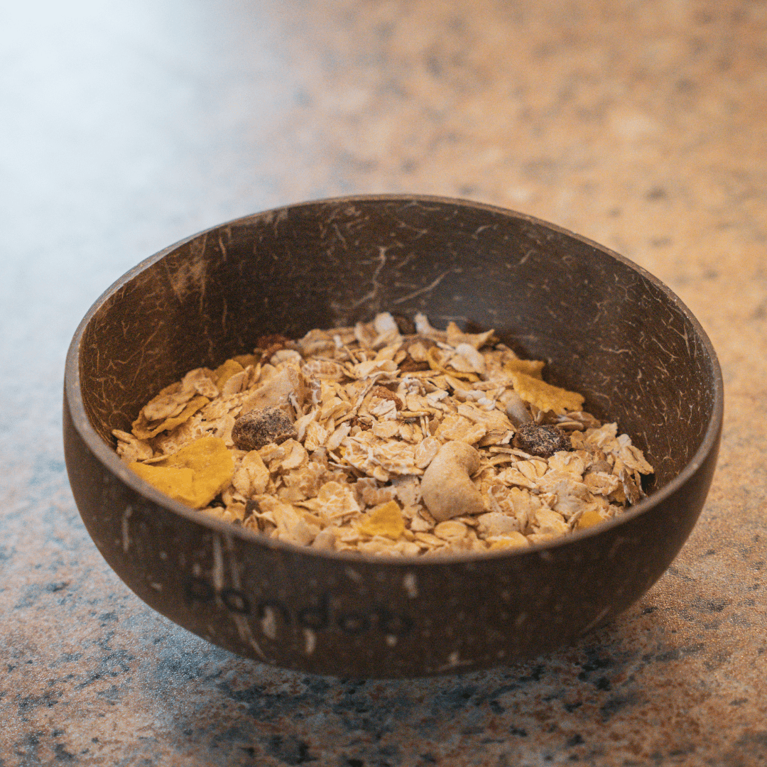 pandoo Schüsseln Kokosnuss-Set | 2 Schüsseln und 2 Löffel