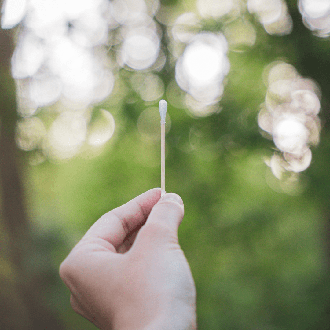 pandoo Wattestäbchen Plastikfreie Wattestäbchen aus Bambus und Bio-Baumwolle