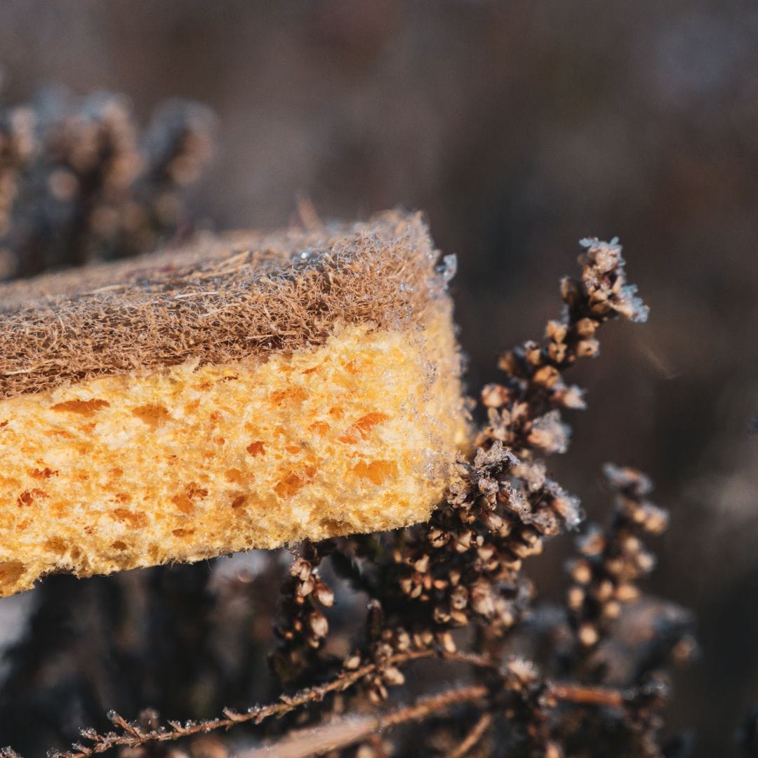 pandoo Haushaltsschwamm Haushaltsschwamm | Nachhaltiger Spülschwamm