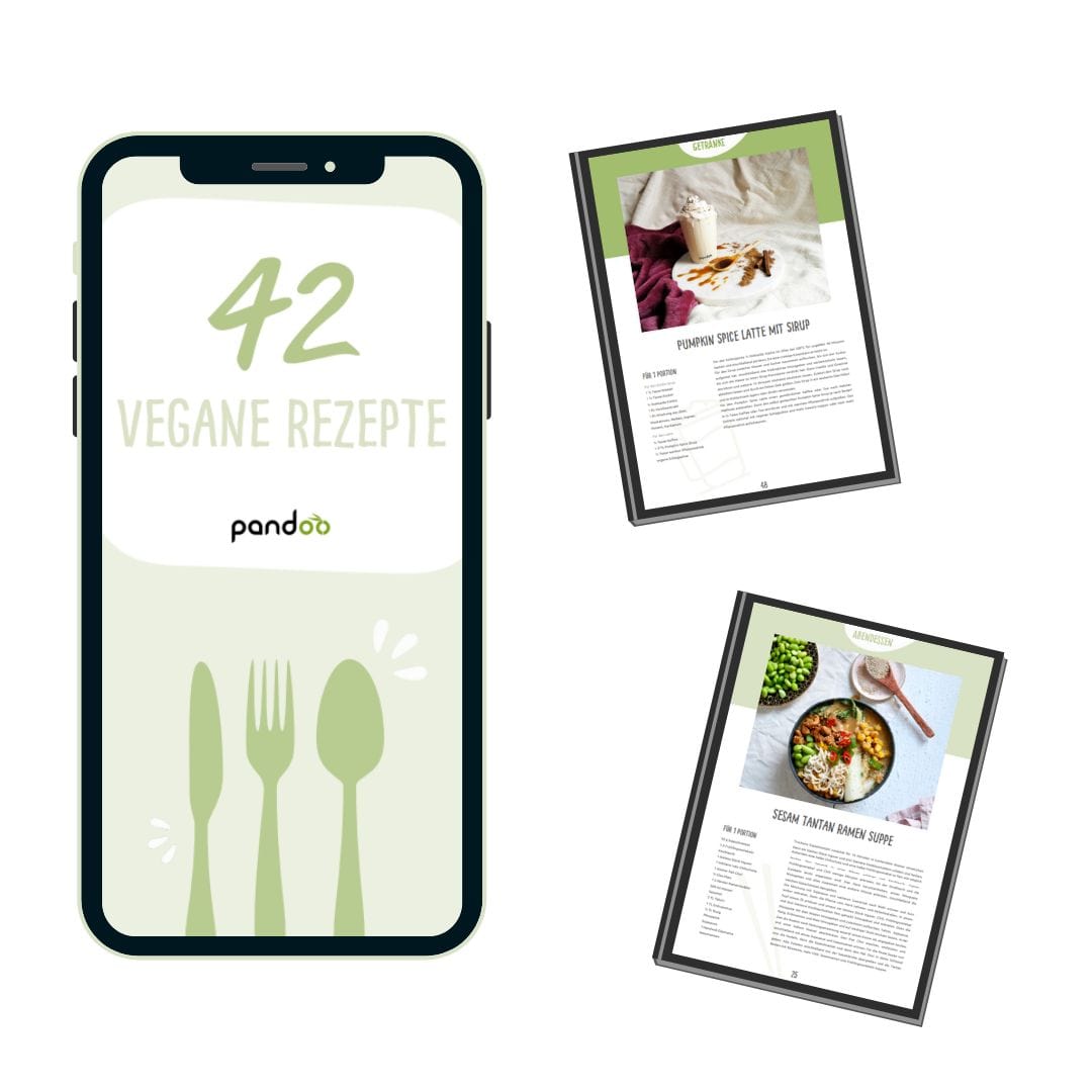 pandoo Veganes Rezepte E-Book | 42 vegane Rezepte